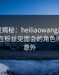 黑料深度揭秘：heiliaowang风波背后，明星在粉丝见面会的角色彻底令人意外