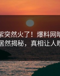 今晚花絮突然火了！爆料网暗网神秘人居然揭秘，真相让人瞠目