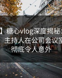 【独家】糖心vlog深度揭秘：八卦风波背后，主持人在公司会议室的角色彻底令人意外