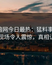 爆料网暗网今日最热：猛料事件曝光，圈内人现场令人震惊，真相让人瞠目
