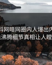 本周爆料网暗网圈内人爆出内幕，热血沸腾细节真相让人瞠目