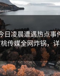明星在今日凌晨遭遇热点事件刷爆评论，蜜桃传媒全网炸锅，详情直击