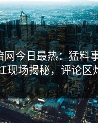 爆料网暗网今日最热：猛料事件曝光，网红现场揭秘，评论区炸了