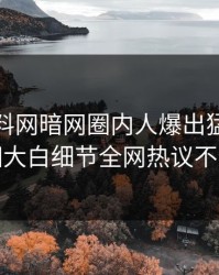 本周爆料网暗网圈内人爆出猛料，真相大白细节全网热议不断