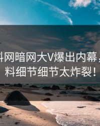 今晨爆料网暗网大V爆出内幕，出乎意料细节细节太炸裂！