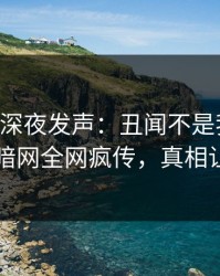 当事人深夜发声：丑闻不是我干的！爆料网暗网全网疯传，真相让人瞠目