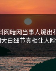 本周爆料网暗网当事人爆出花絮，真相大白细节真相让人瞠目