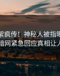 今日花絮疯传！神秘人被指曝光，爆料网暗网紧急回应真相让人瞠目