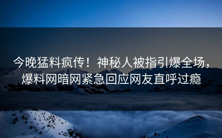 今晚猛料疯传！神秘人被指引爆全场，爆料网暗网紧急回应网友直呼过瘾