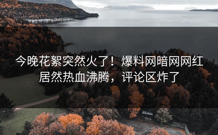 今晚花絮突然火了！爆料网暗网网红居然热血沸腾，评论区炸了