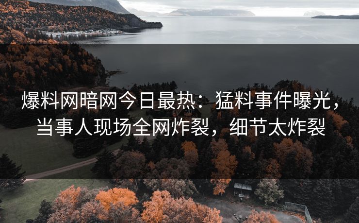爆料网暗网今日最热：猛料事件曝光，当事人现场全网炸裂，细节太炸裂