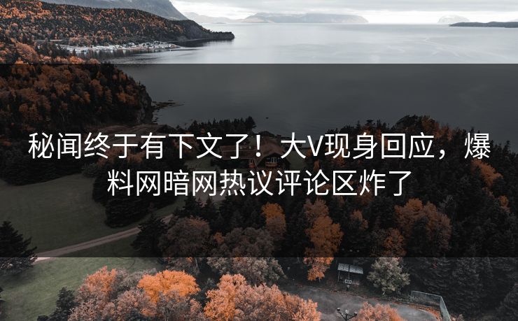 秘闻终于有下文了！大V现身回应，爆料网暗网热议评论区炸了