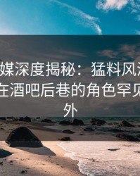 蜜桃传媒深度揭秘：猛料风波背后，神秘人在酒吧后巷的角色罕见令人意外