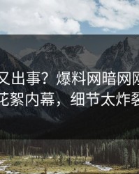 当事人又出事？爆料网暗网刚刚曝出花絮内幕，细节太炸裂
