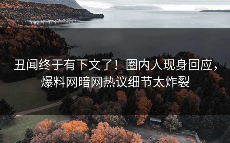 丑闻终于有下文了！圈内人现身回应，爆料网暗网热议细节太炸裂