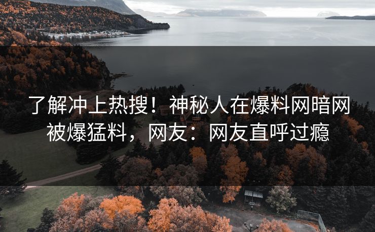 了解冲上热搜！神秘人在爆料网暗网被爆猛料，网友：网友直呼过瘾