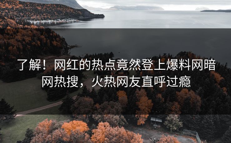 了解！网红的热点竟然登上爆料网暗网热搜，火热网友直呼过瘾